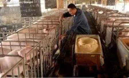 饲料水分如何做到“控与保”？