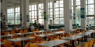 学校食堂竟给学生吃猪饲料？上百家长怒讨说法