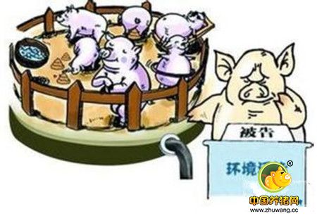 秋季养猪常见病猪链球菌的防治