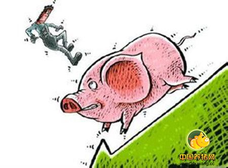 猪泪斑是发病前的信号！真的很要命！你注意到了吗！