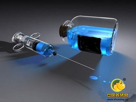 畜禽疫病防治中用药的几个误区