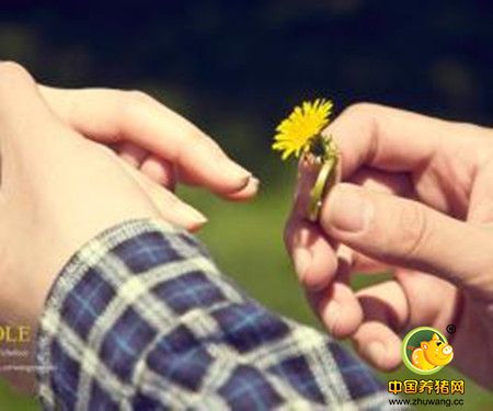 9个让你更幸福的小习惯
