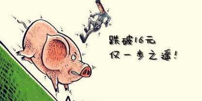 眼看猪价就要跌破16块，你该怎么做？