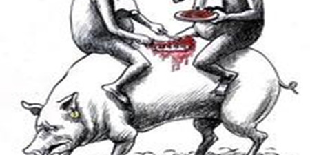 中国猪肉需求市场 不能单纯地成为“救世主”