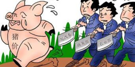 猪价将再降且持续一年？格格不入的需求能否依靠保险？