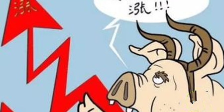 全国多地猪价报复性上涨！本次猪价能涨起来么？