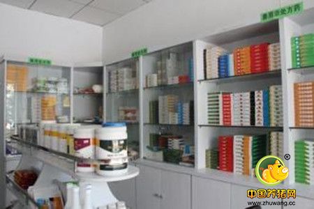 养猪过程中用药物进行母猪保胎的方法