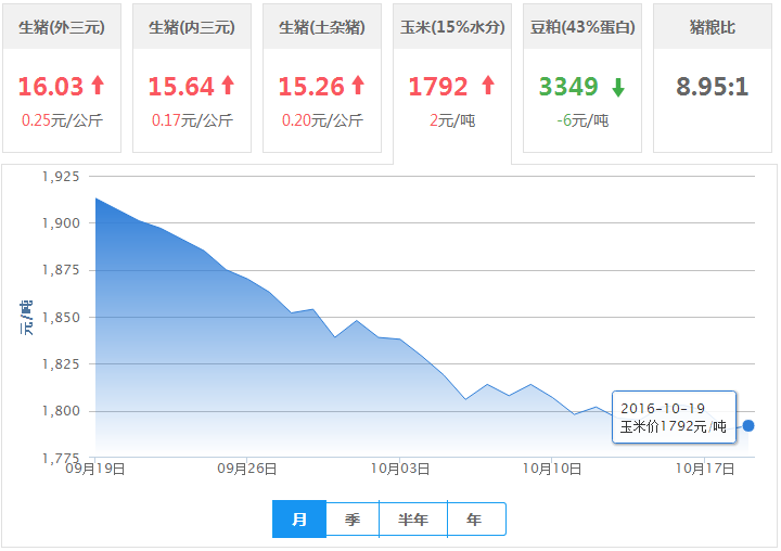 2016年10月19日全国玉米价格行情走势汇总
