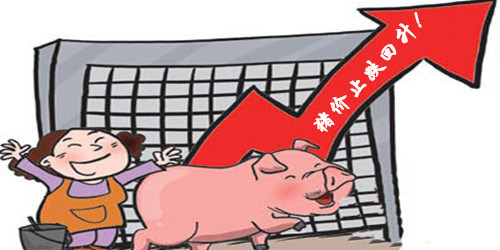 涨了！猪价止跌反弹，涨势能继续吗？