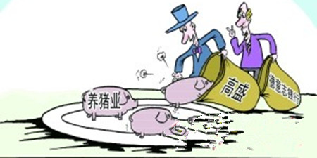 生猪收购价格持续下跌，养殖收益大跳水