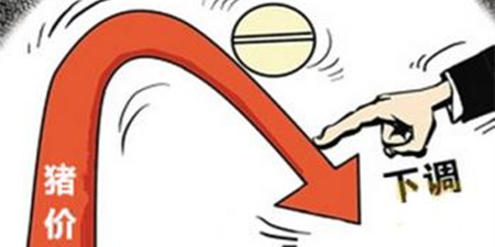 屠宰企业压价情绪依旧 猪价实质性上涨态势并未到