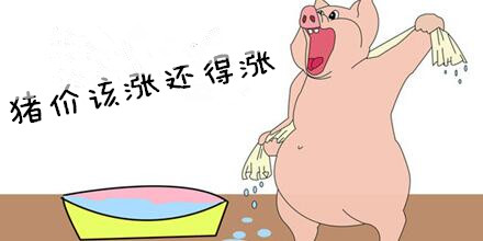 别慌！猪价再回落的可能性已经非常小，该涨还得涨