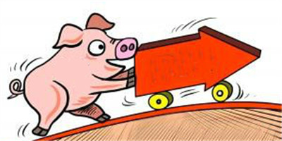 国内猪价稳中小幅上扬行情为主