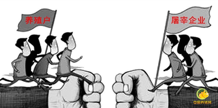 供需双方持续对峙 猪价短期或以震荡微幅慢涨为主