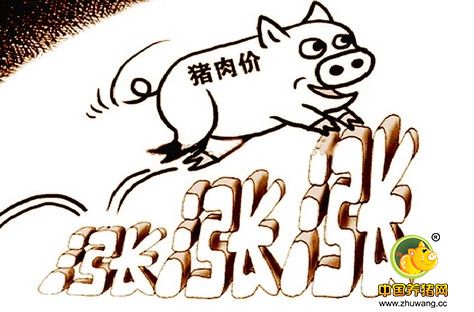 农业部预测：秋冬农业生产不利 未来猪肉仍将高位运行