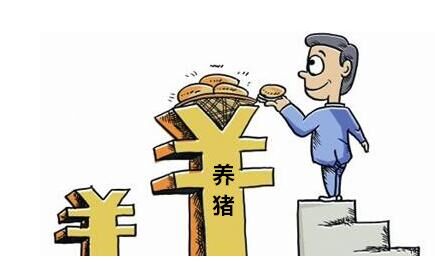 淡定！猪价或将迎来小幅震荡 但这是正常现象