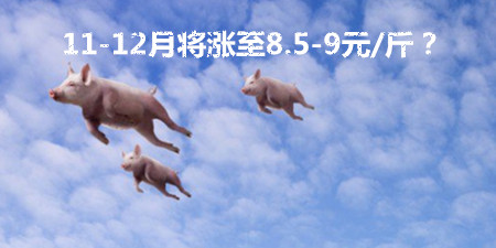 接下来的两个月猪价将重返8.5-9元/斤？