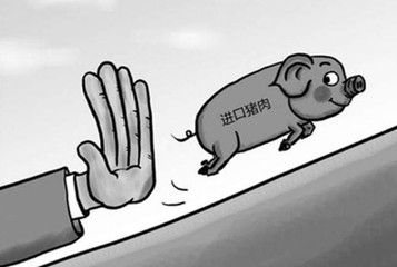 海关：今年1-8月大连关区猪肉进口量激增