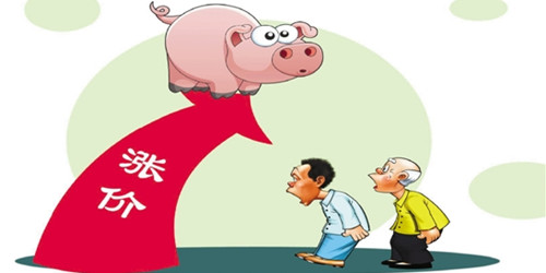 农业部官方预测：猪价平稳上涨 未来仍将高位运行