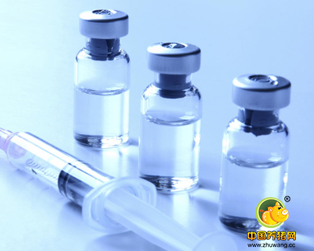 如何让注射的疫苗产生最大的效益？