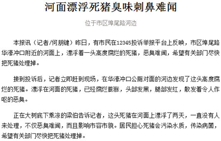 死猪高度腐烂河面漂两天 恶臭做呕让乘凉市民这么说……