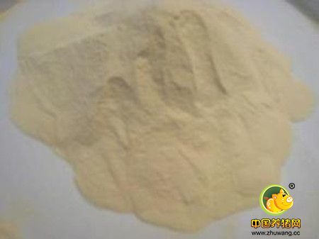 蛋白质饲料