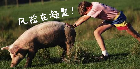 这一波局部地区已上涨2元！涨幅扩大，但风险也在凝聚