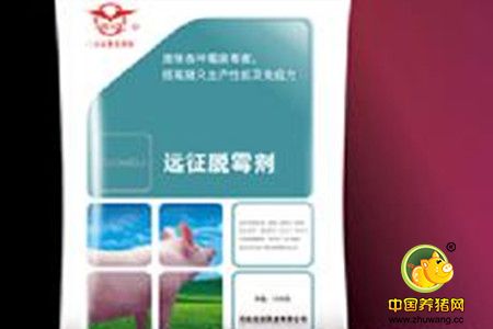 脱霉剂如何选择？您用的脱霉剂是最好的吗？