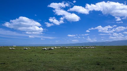 拆南方水网区猪场并不能从根本上解决污染问题