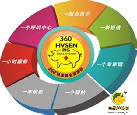 张卫元：回盛股份发展规划
