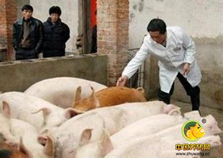 兽药的正确储存方法你必须要懂的