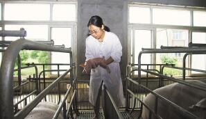 浙江有个“猪姑娘” 养猪养成了“台州师傅”