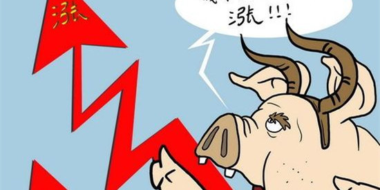 猪肉消费将迎来最旺季 猪价回暖能持续多久？