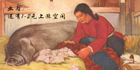 业内：猪价还有1-2元/公斤的上涨空间