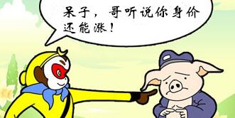 预计猪价将稳中有升 为今年行情画上完美句号