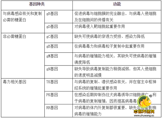 TK基因缺失对伪狂犬病有没有现实意义？