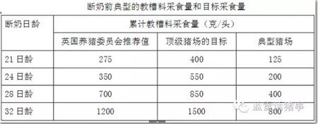 为什么教槽料越来越没有效果？