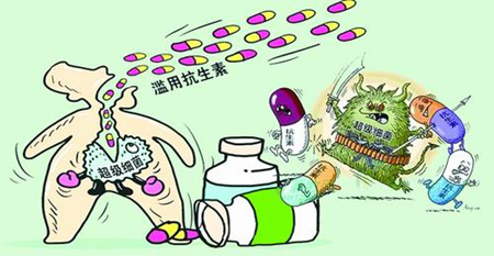 只有提高动物健康水平才能真正减少抗生素的使用