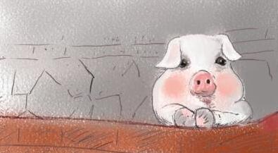 震惊！男子杀猪掉出白色“哪吒”？ 专家却是这样说……