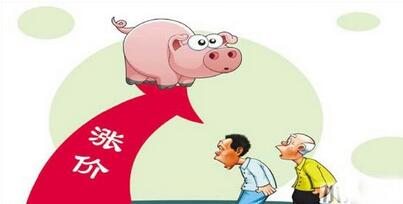 业内：今年猪价提前上涨，那么会不会提前下跌呢