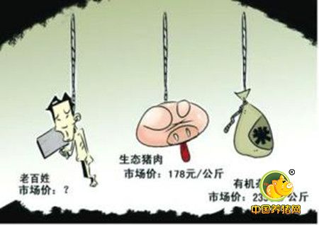 猪肉价格“退烧”须看供给和疫情