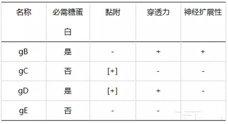 你是否已步入伪狂病毒的误区却浑然不知？