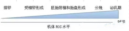 中美母猪营养与采食调控技术