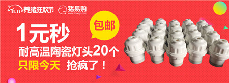 猪易购双11战报：1元秒杀，5个小时，3万个灯头
