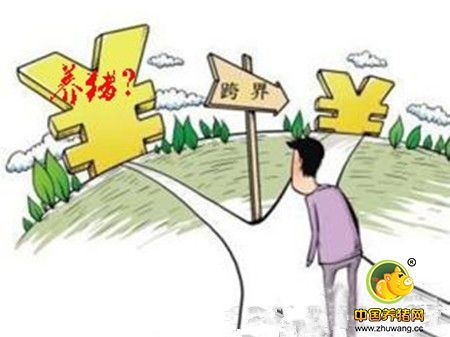 洪洞毛增奇：“门外汉”变养猪行家 带领群众致富