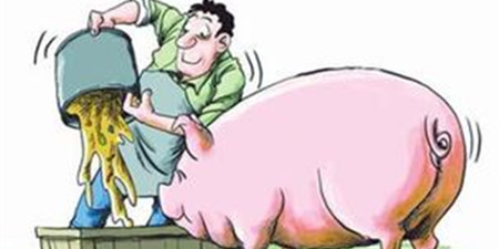 农业部：存栏恢复速度屡低于预期 猪价或将重拾升势