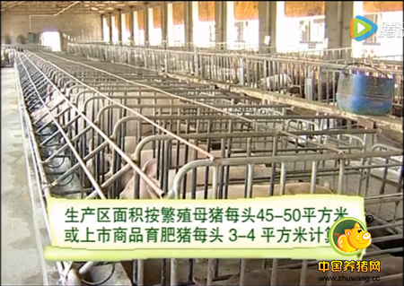 现代猪场的建设