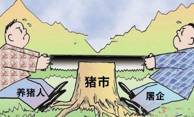 屠企压价猪价上行难，猪市明天是凶是吉？