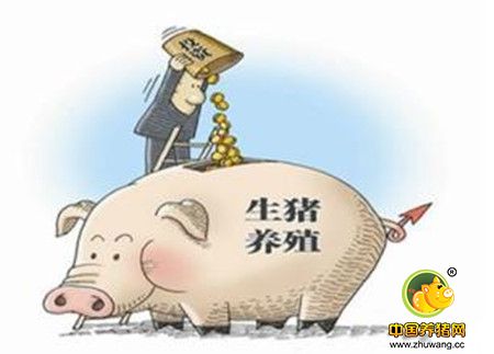饲料行业:受益多重利好 布局良机以至