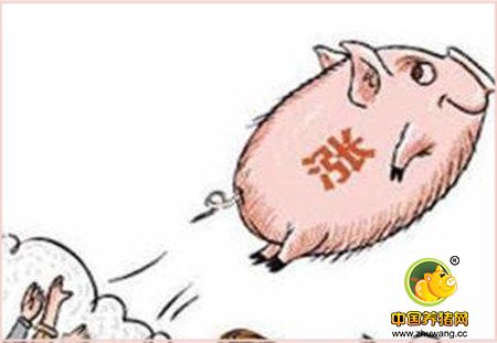 屠企收猪受阻猪价不会连续下跌 消费利好猪价还能上涨